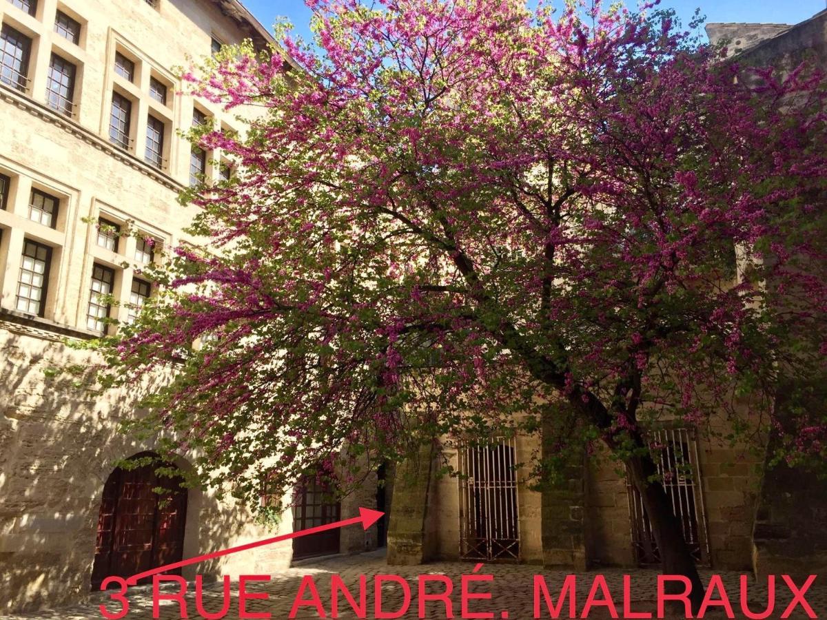 Appartement A 50 M De La Place Aux Herbes Uzès Eksteriør bilde